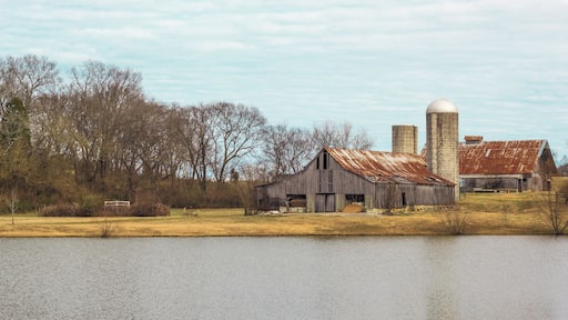 A beautiful setting with walkways and a dog park. Horse polo field nearby as well. Well kept property and peaceful environment.