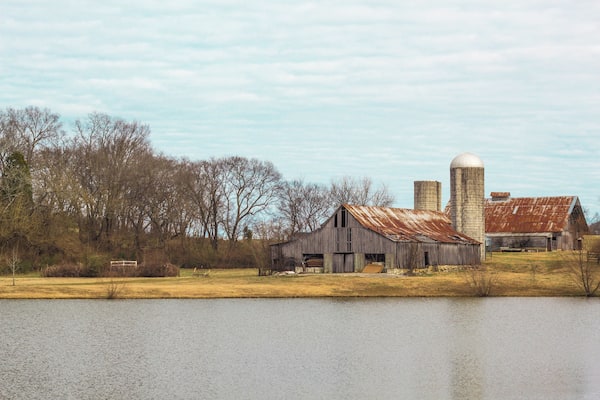 A beautiful setting with walkways and a dog park. Horse polo field nearby as well. Well kept property and peaceful environment.