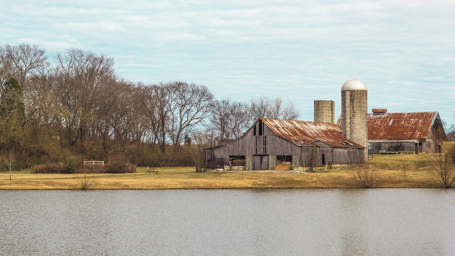 A beautiful setting with walkways and a dog park. Horse polo field nearby as well. Well kept property and peaceful environment.