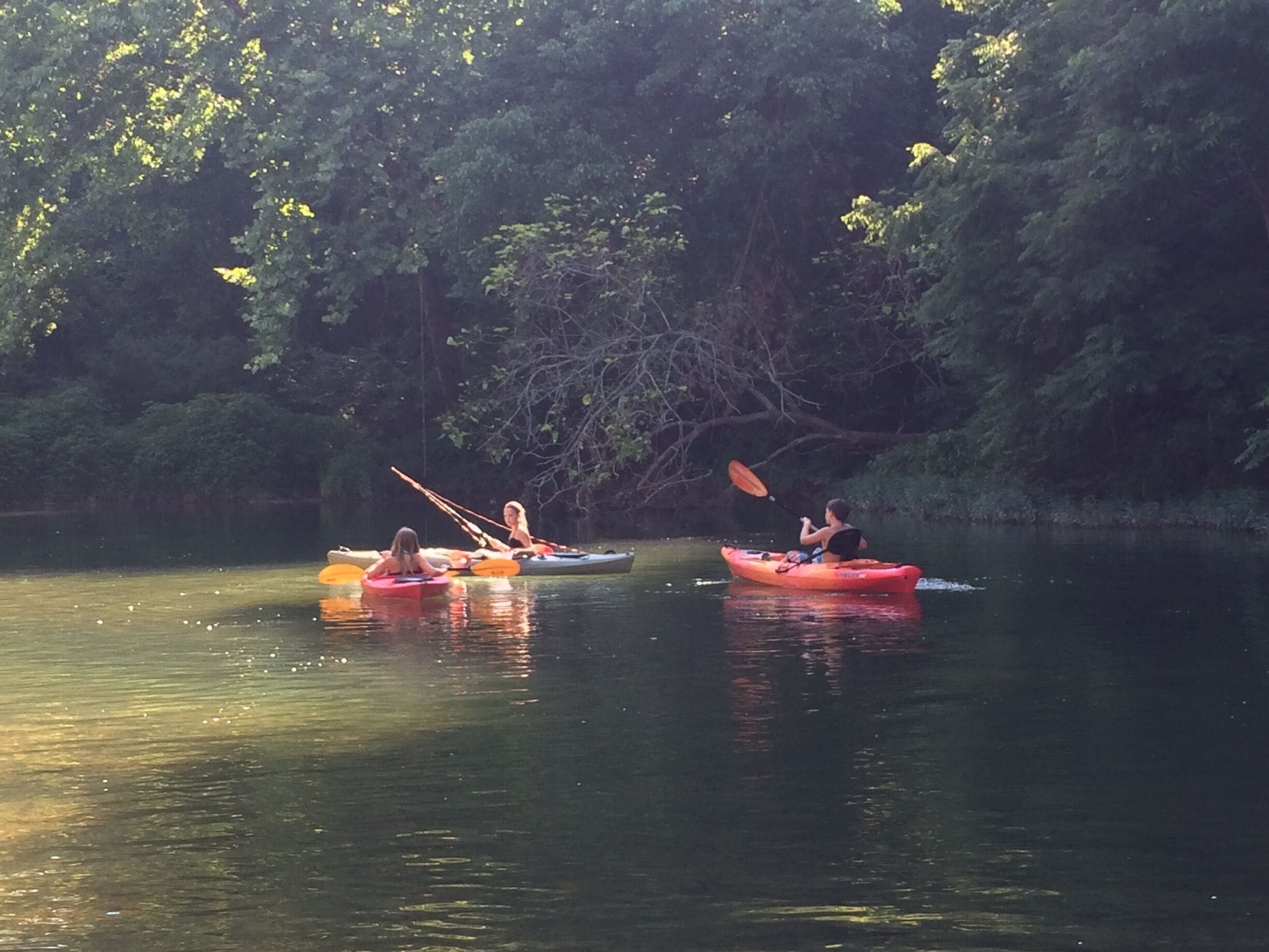 My little buddies yakin all day