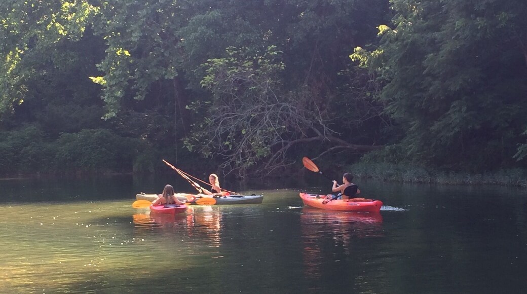 My little buddies yakin all day