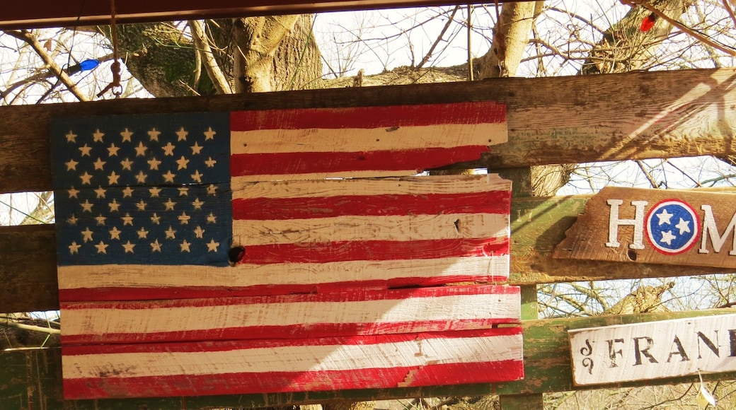 United states flag and Franklin Tennessee sign