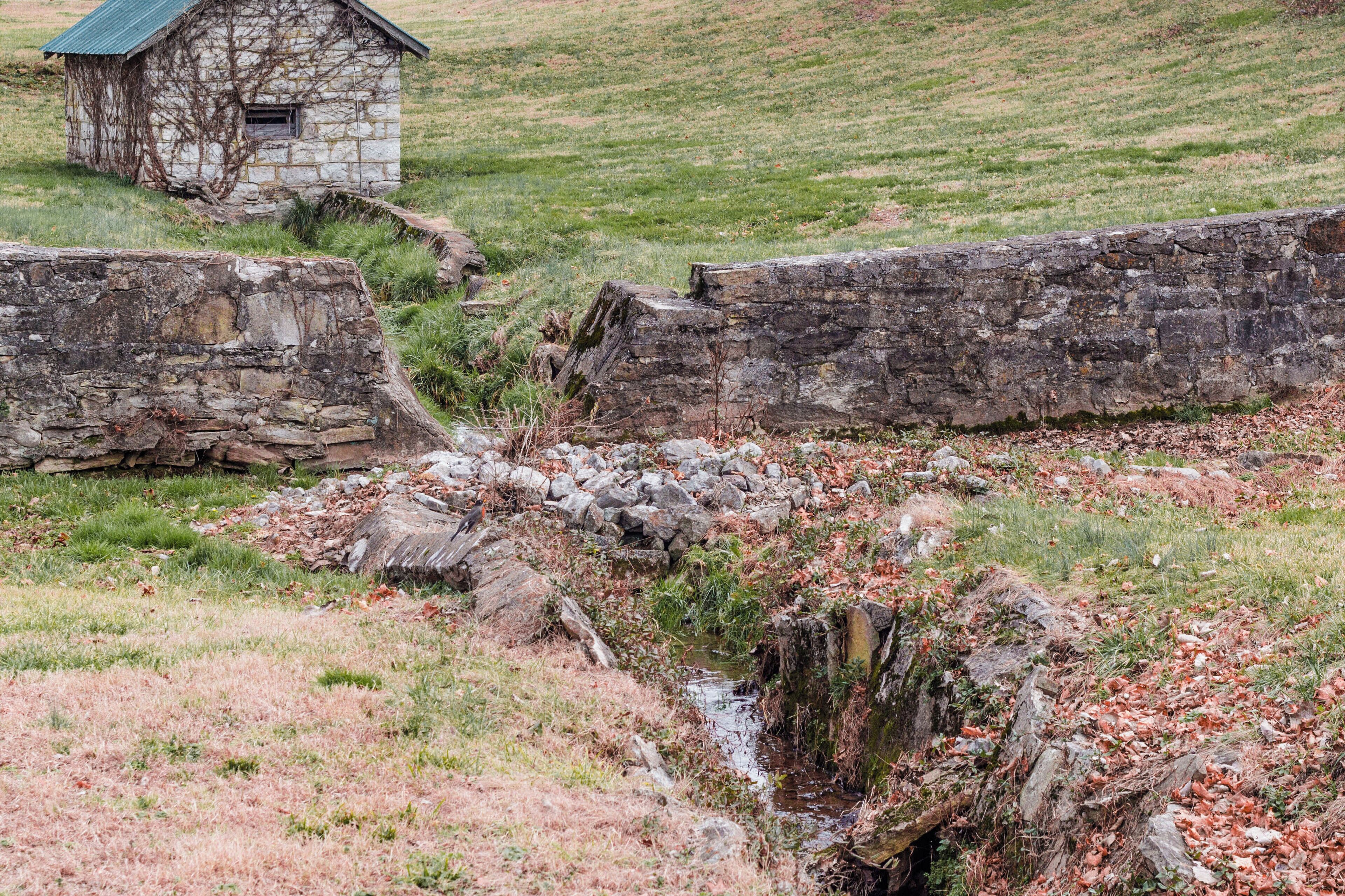 A peaceful little creek near the dog park.