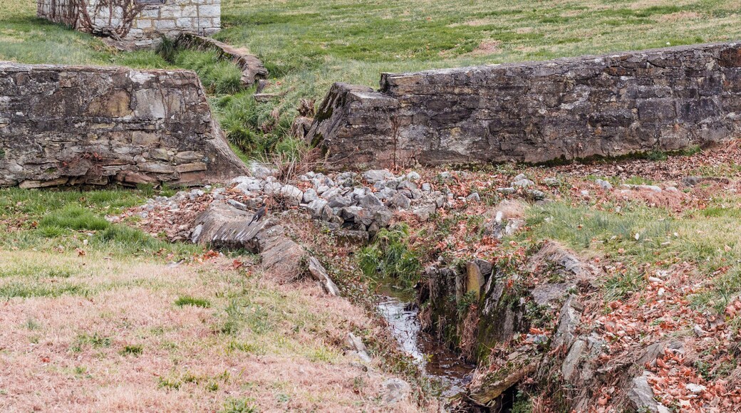 A peaceful little creek near the dog park.
