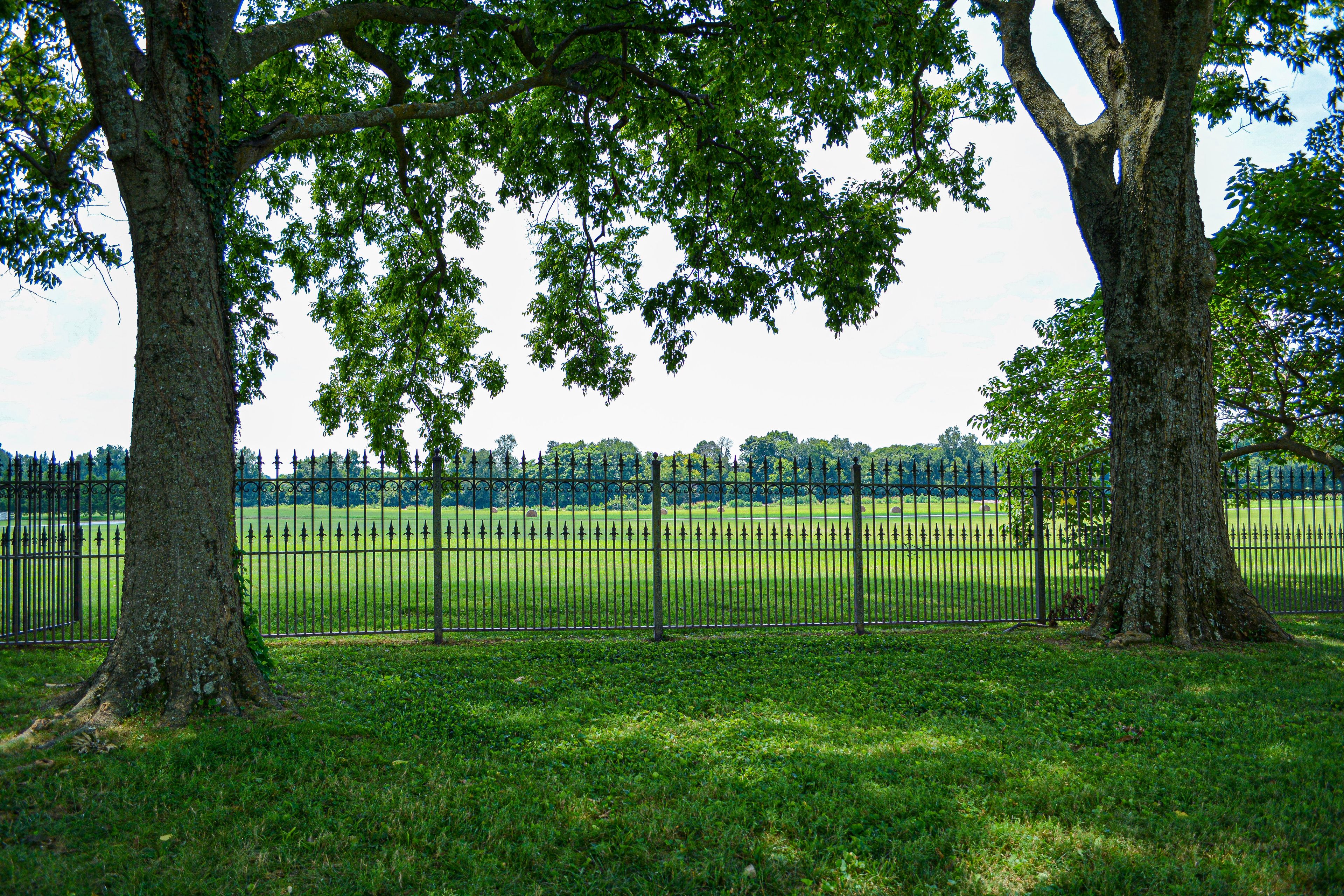 A park with a metal fence, trees, and a grassy field.