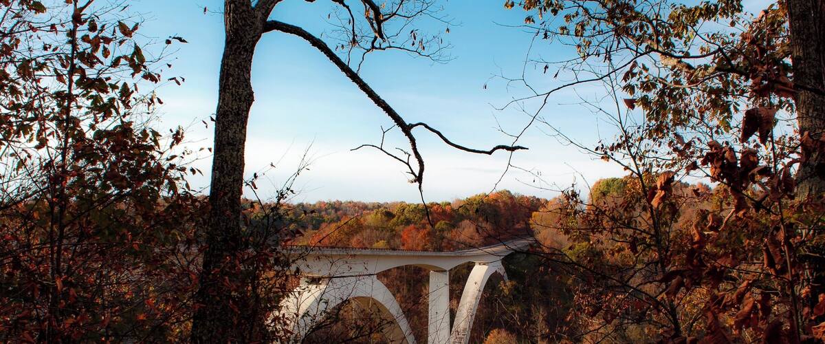 The Natchez Trace is a two-lane parkway that winds its way through parts of Tennessee, Alabama, and Mississippi. There are limited on/off ramps, but lots of scenic lookouts - like this one. Speed limit is usually under 55, and is really just a nice way to enjoy the drive. #tennessee #roads #lifeatexpedia