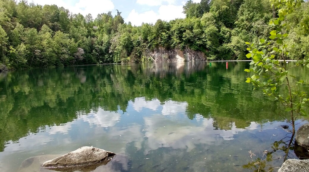 Walking a trail along the Rappahannock River we didn't know what was at then of the trail. It was an old quarry filed with clear water. It was a perfect picture day.