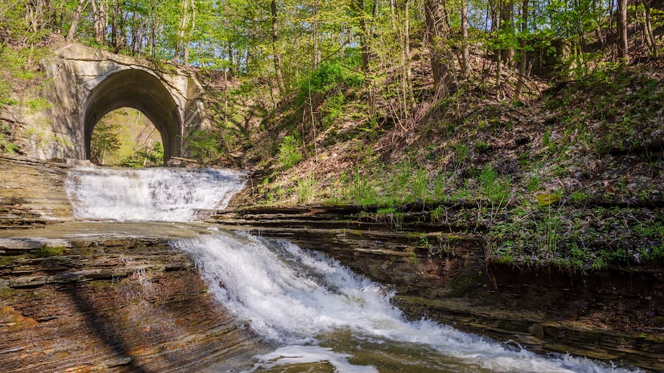 A stone bridge over a waterfall in a forested area.