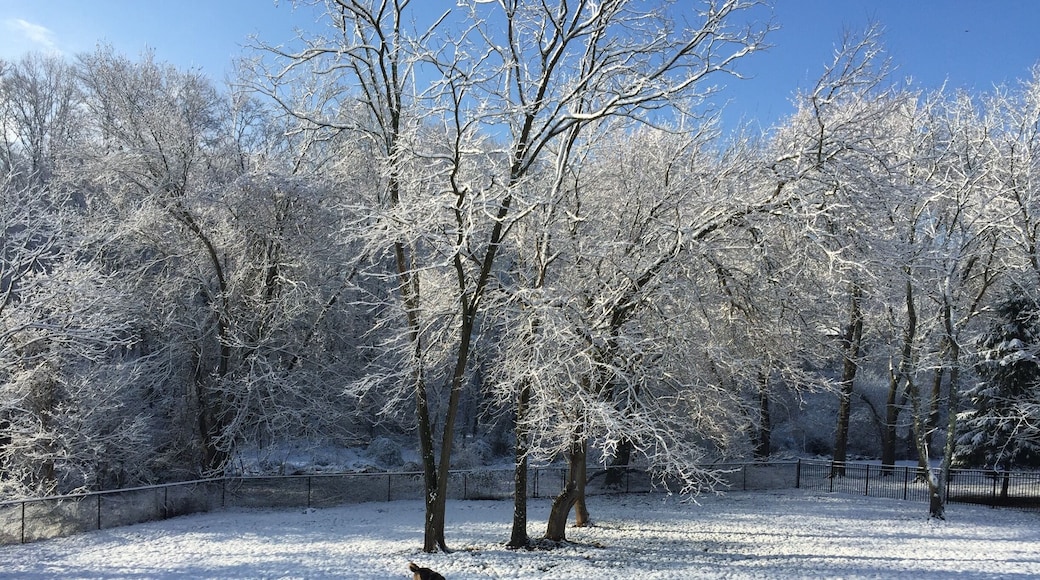 Winter Wonderland on the first day of Spring!