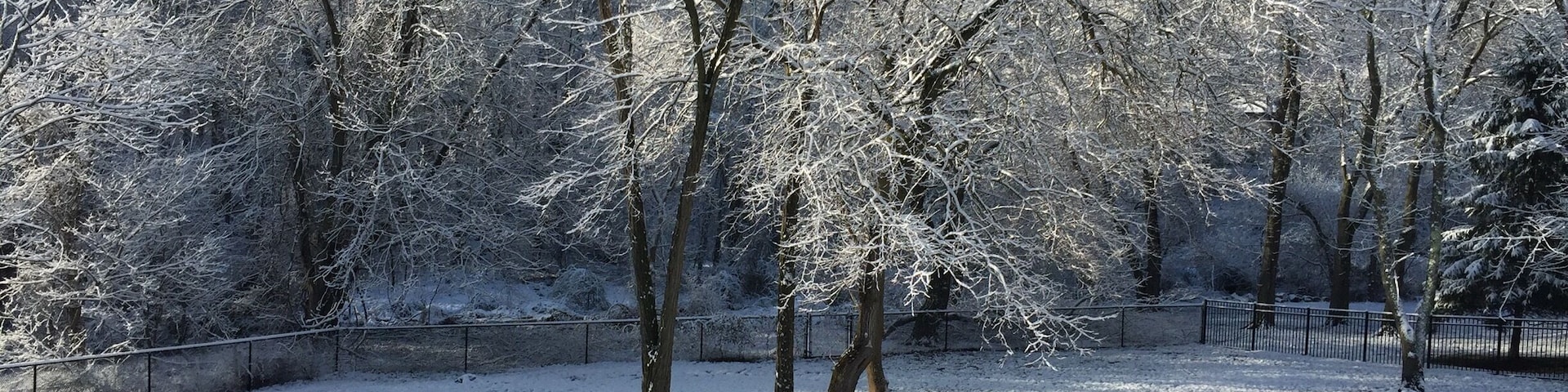 Winter Wonderland on the first day of Spring!