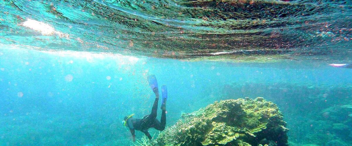 Snorkeling in down under
#travel #australia #reef #what's hot
