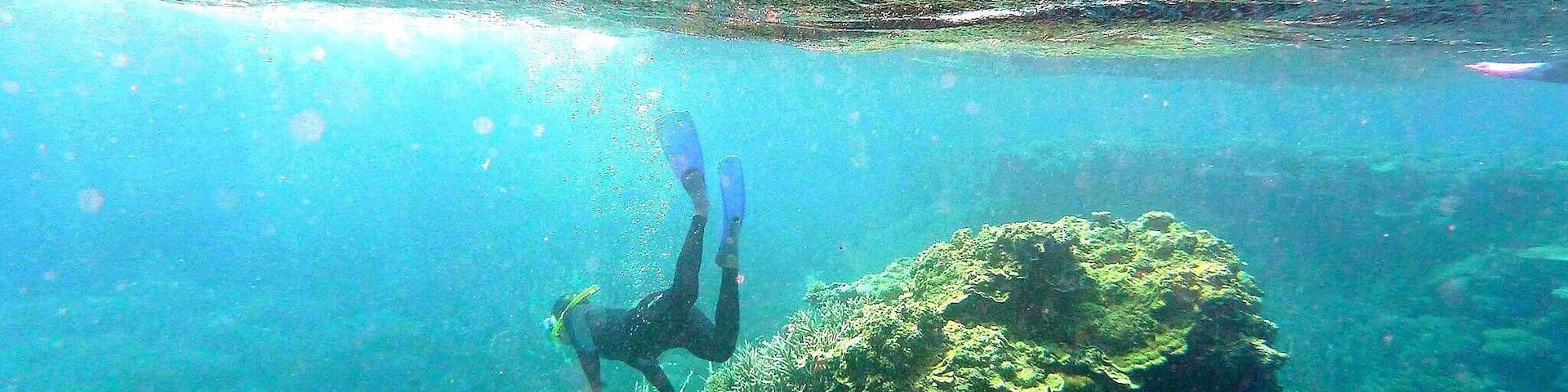 Snorkeling in down under
#travel #australia #reef #what's hot