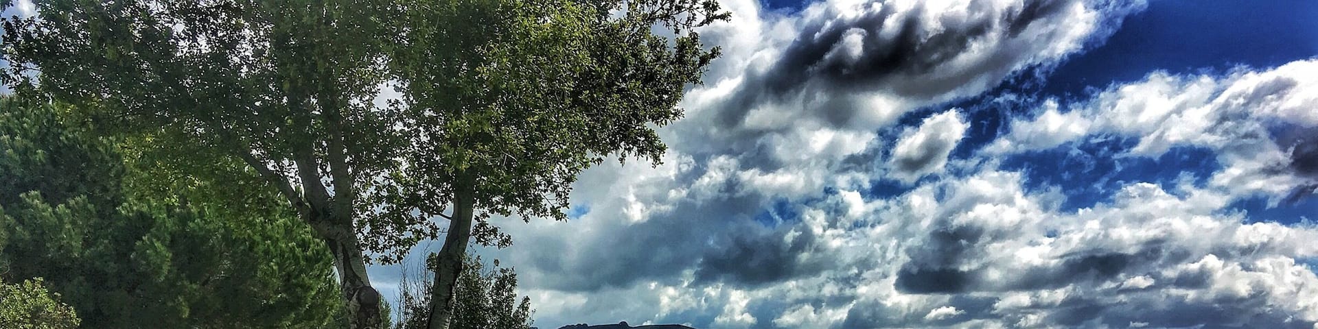 Took a rest while hiking in this awesome trail in Fremont. #GreatOutdoors