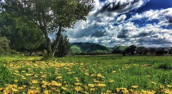 Took a rest while hiking in this awesome trail in Fremont. #GreatOutdoors