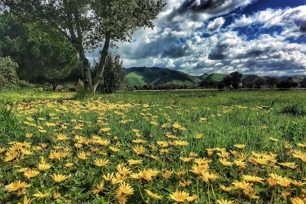 Took a rest while hiking in this awesome trail in Fremont. #GreatOutdoors