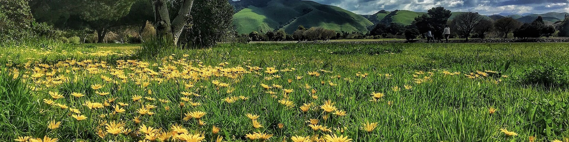 Took a rest while hiking in this awesome trail in Fremont. #GreatOutdoors