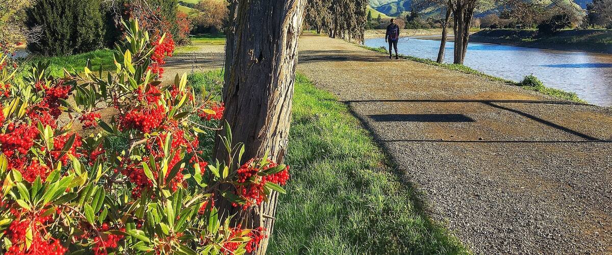 One my favorite hiking trails. It has a beautiful surroundings and very peaceful trail.