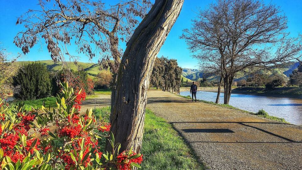 One my favorite hiking trails. It has a beautiful surroundings and very peaceful trail.
