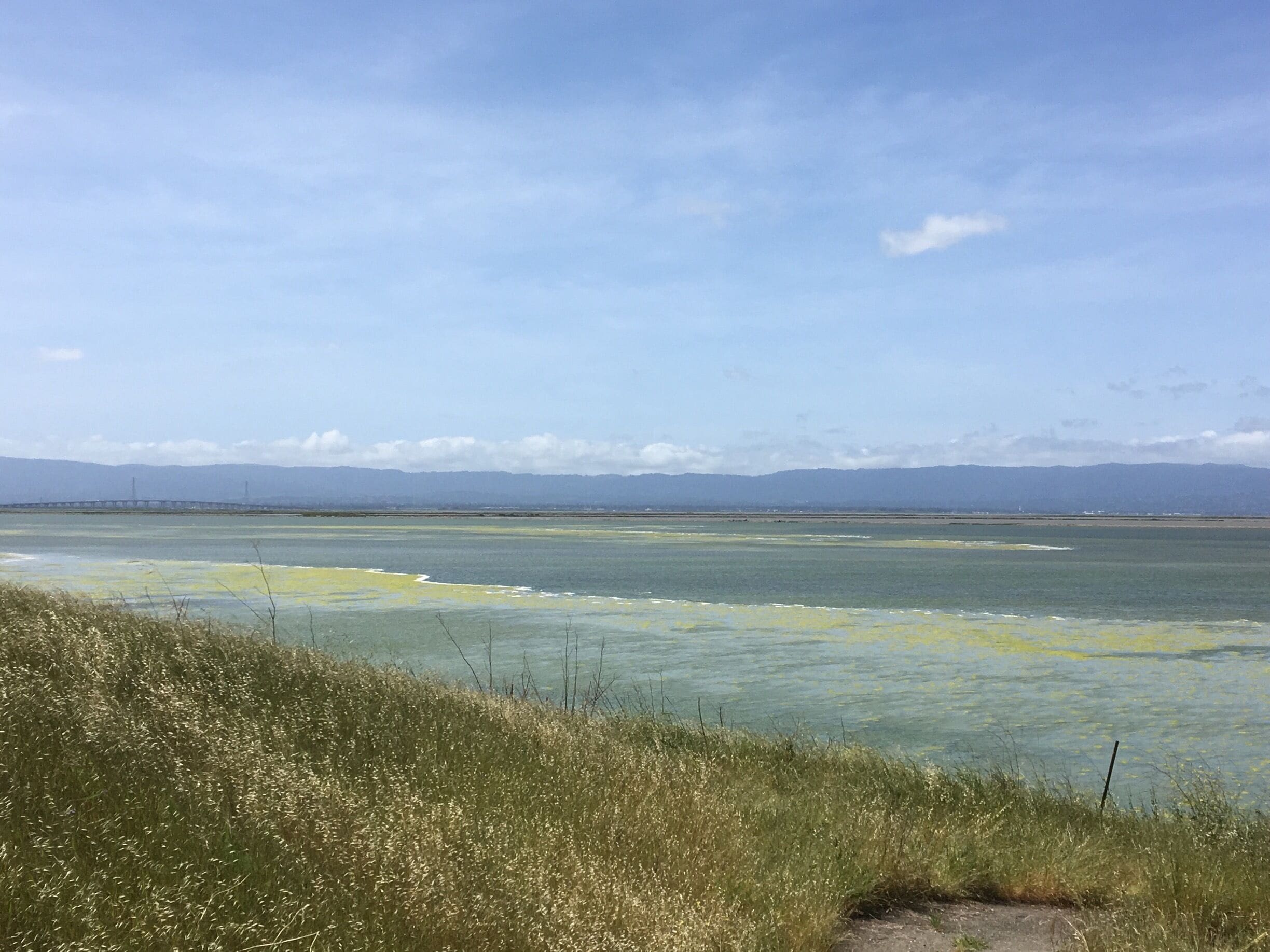 How beautiful it is.