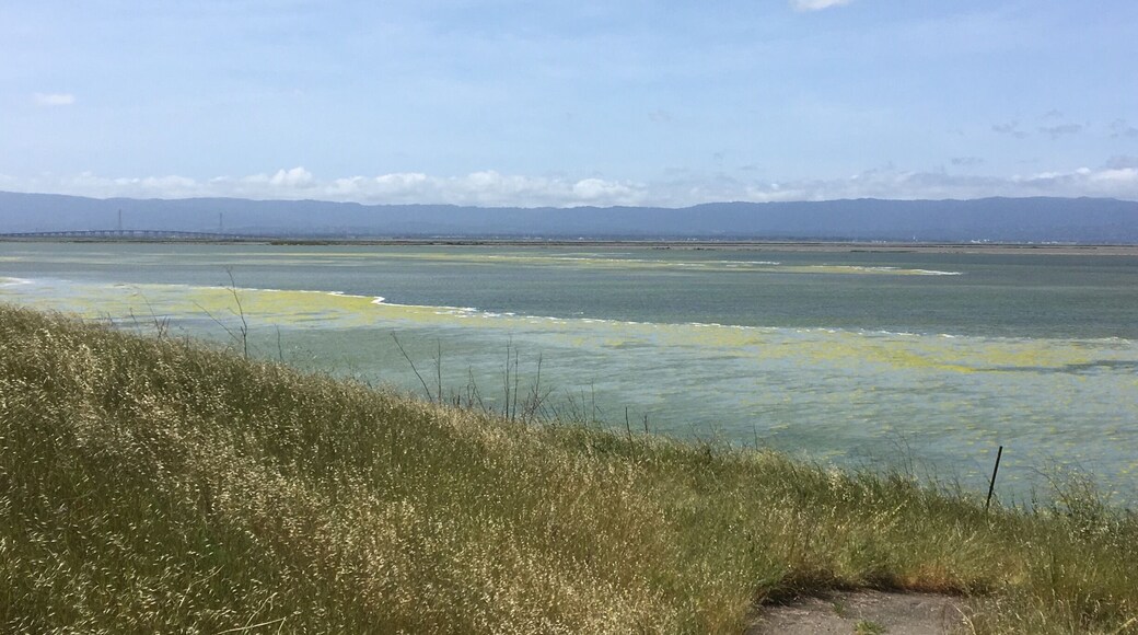 How beautiful it is.