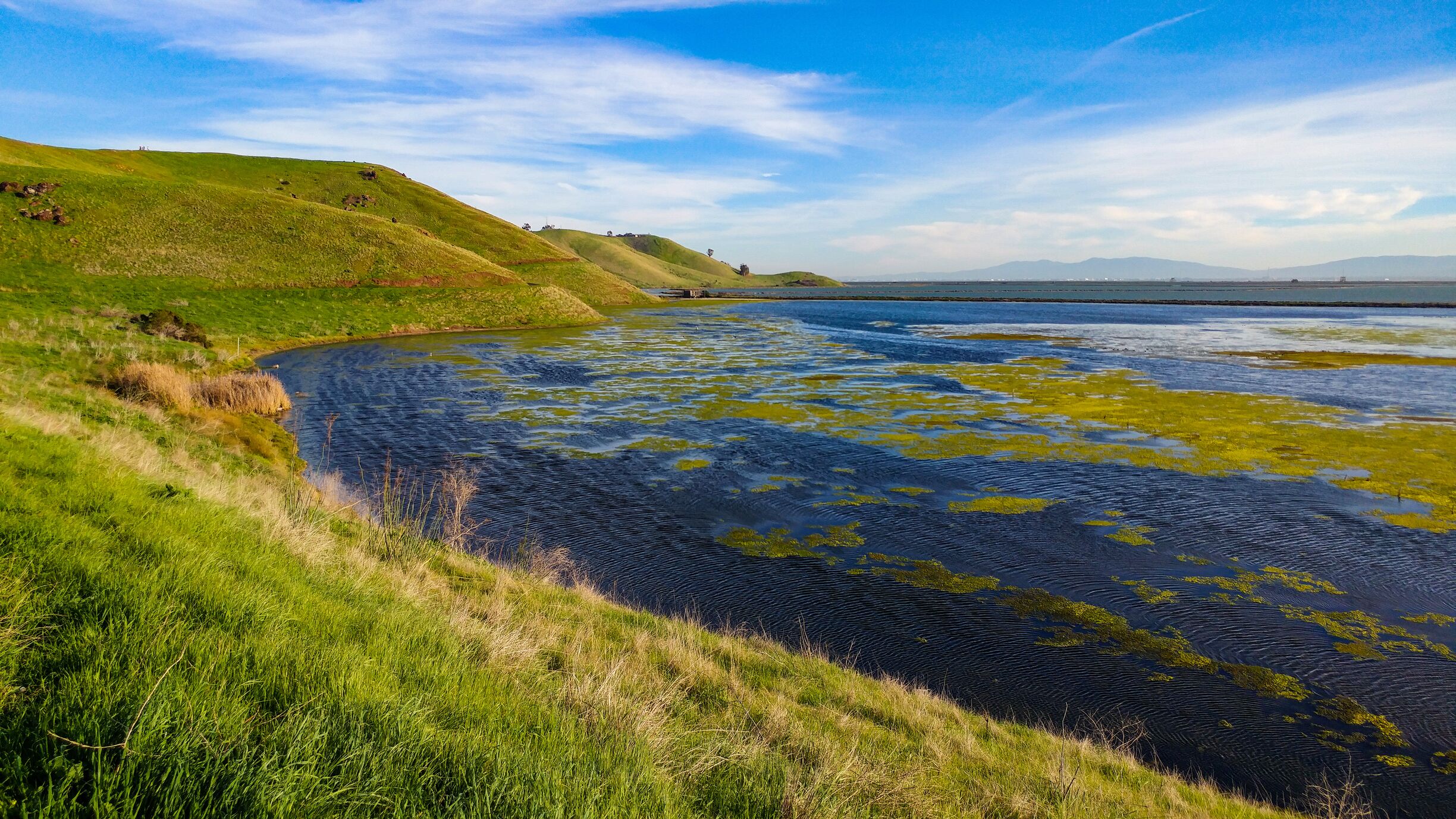 In the spring, green grass meets the dark blue waters of the bay in this park. There is plenty of parking, and the Bay View Trail is paved for its entire length, perfect for dogs or baby strollers. #Parks