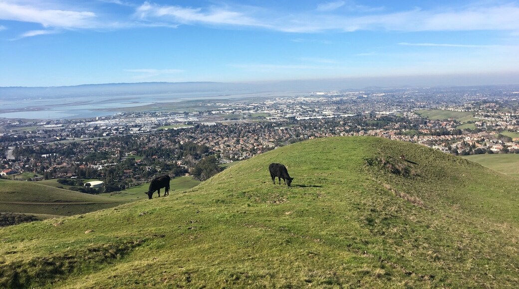 A small but moderately strenuous trail off the beaten path