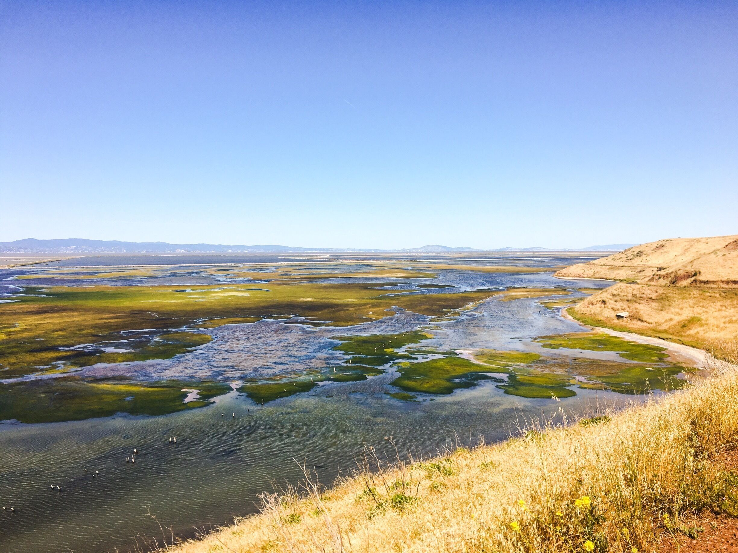 Run, hike, walk, bike 