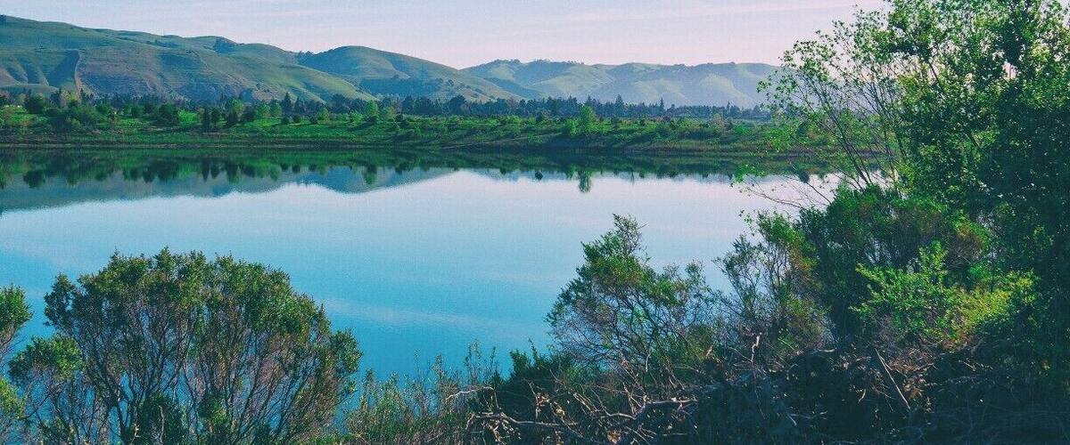 A wonderful little area in the East Bay for little hiking, jogging, and a family-friendly atmosphere.