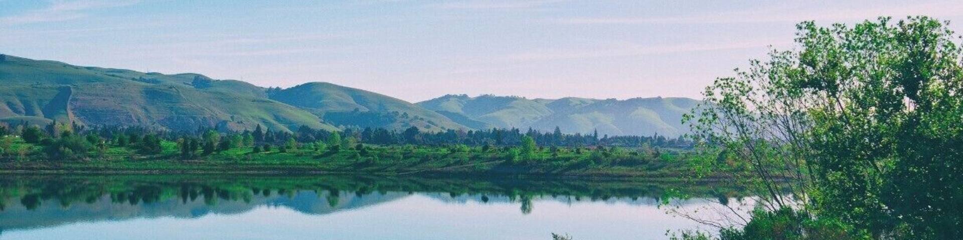 A wonderful little area in the East Bay for little hiking, jogging, and a family-friendly atmosphere.