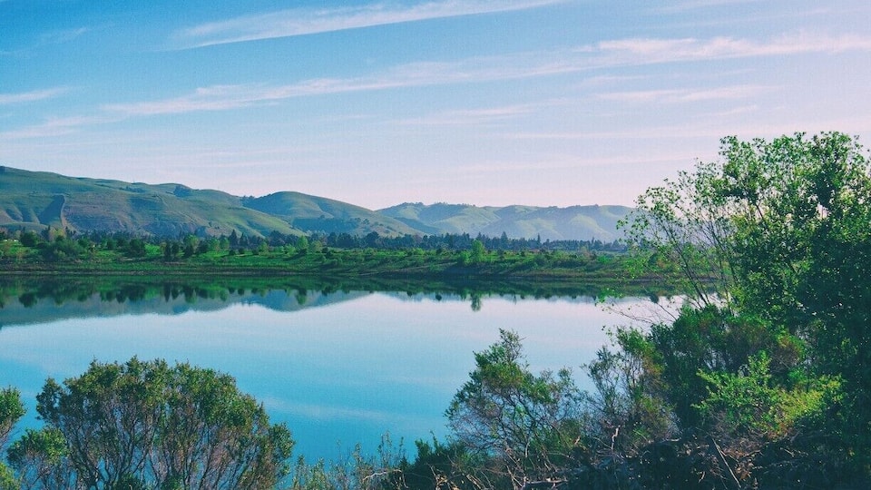 A wonderful little area in the East Bay for little hiking, jogging, and a family-friendly atmosphere.