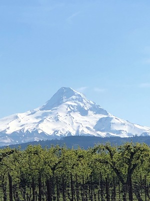 Oregon