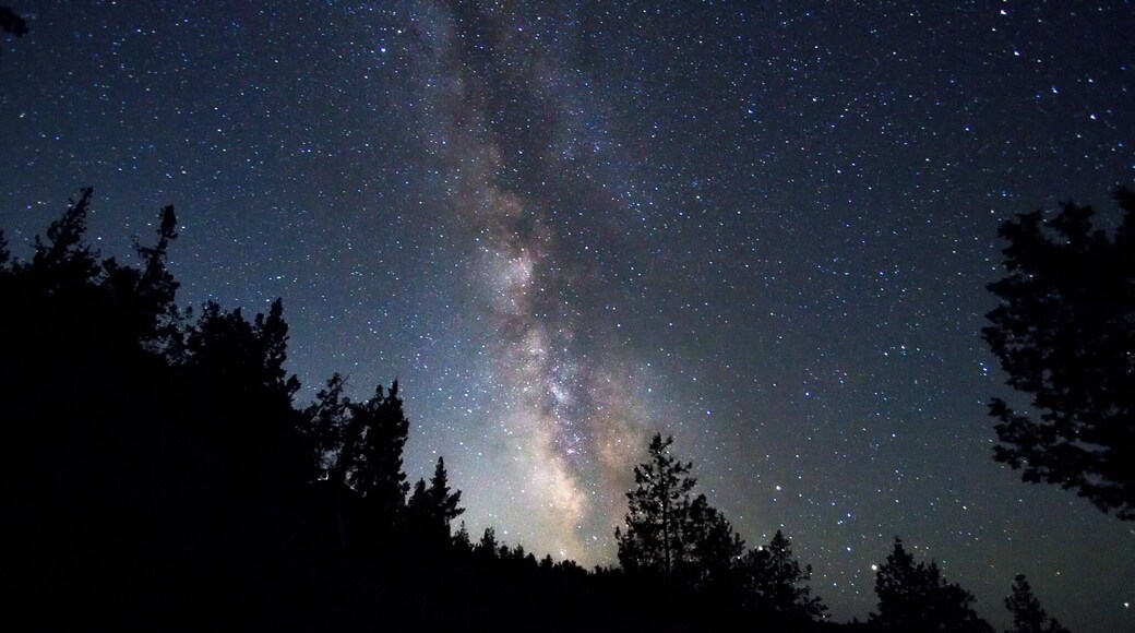 Missing those warm summer night in Oregon. My light led through the darkness.
#endlesssummer #travel #roadtrip #milkyway #stars #astrophotography #colorful #oregon