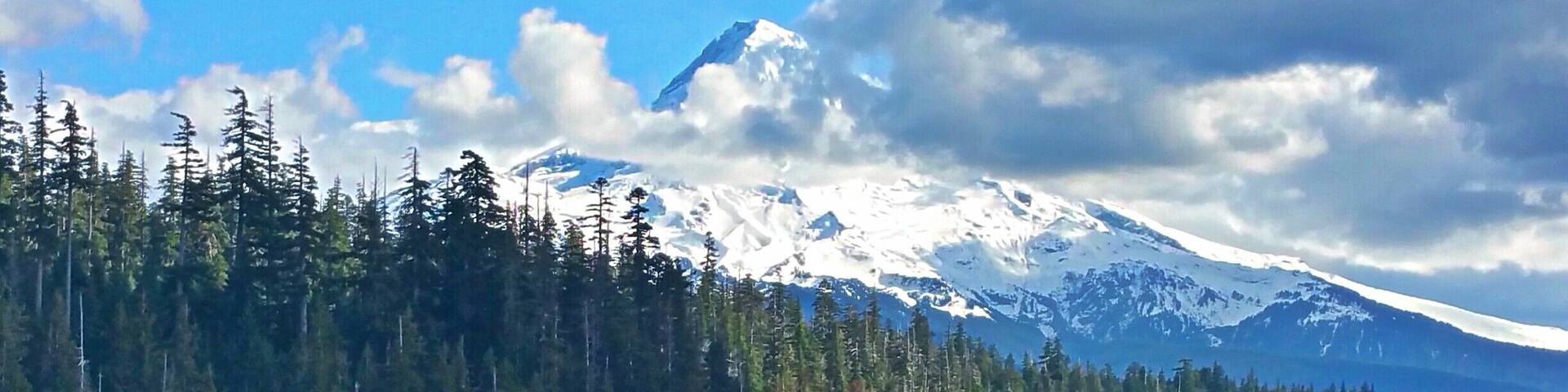 Quiet place in late fall...lively, gentle hike around the lake with Mt. Hood to the East.