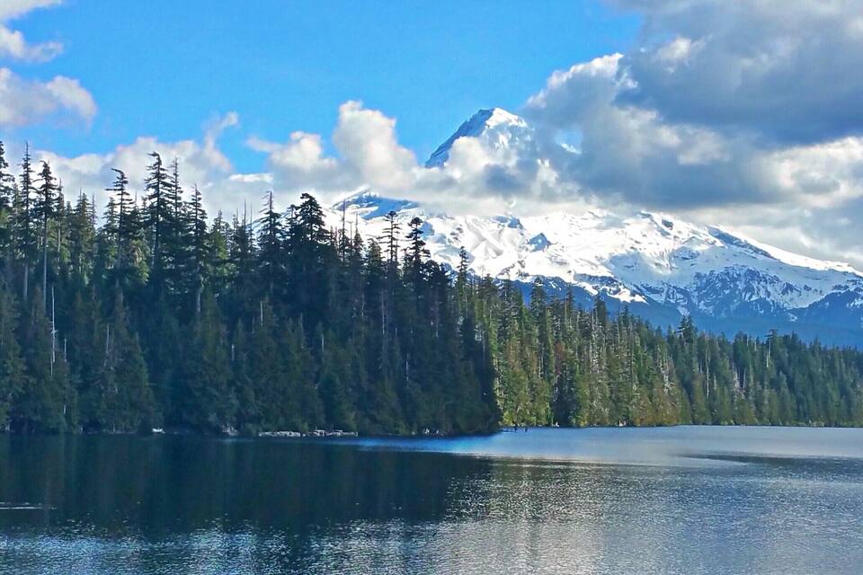 A snow-capped mountain, a dense forest, and a calm lake.