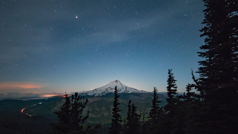 A starry night sky over a snow-capped mountain with a forest in the foreground.