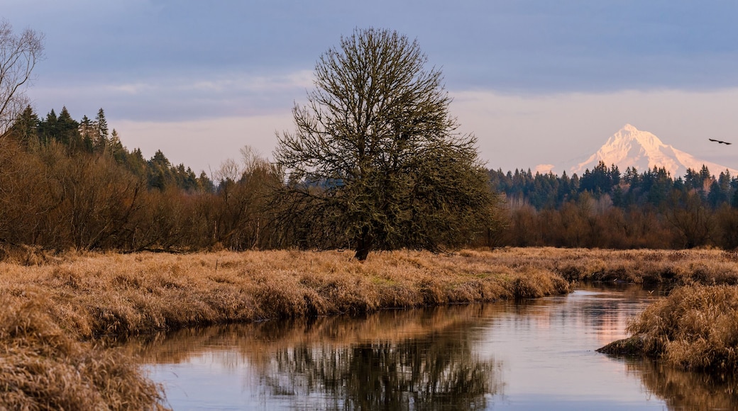 ฮูดริเวอร์