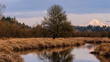 Panoramic Snowpacked Mount Hood in Fall/Winter sunset