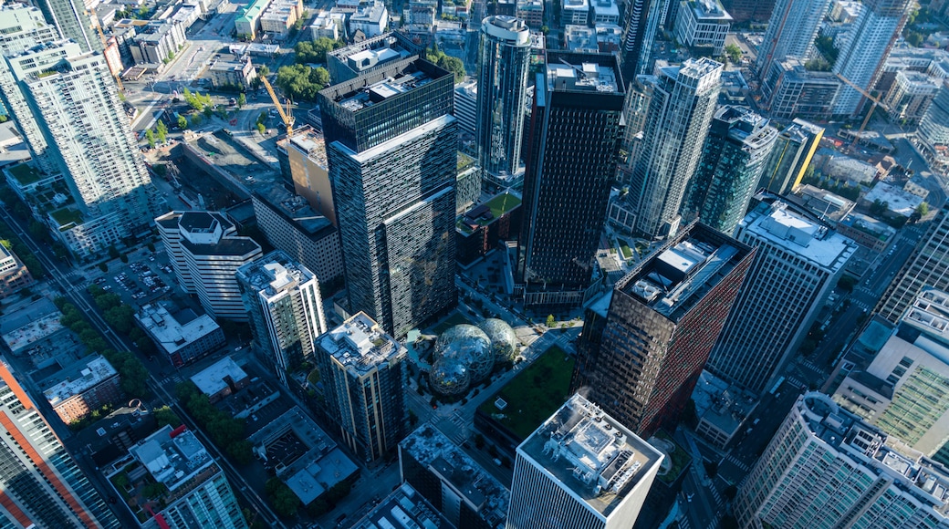 Aerial view of modern architecture featuring Amazon Spheres and skyscrapers in South Lake Union, Seattle, United States.
