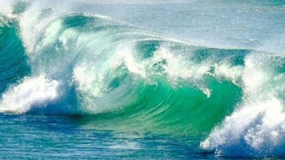 A large, curling wave in the ocean.