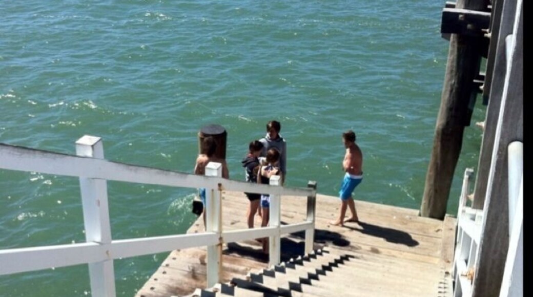 Great fun jumping from jetty