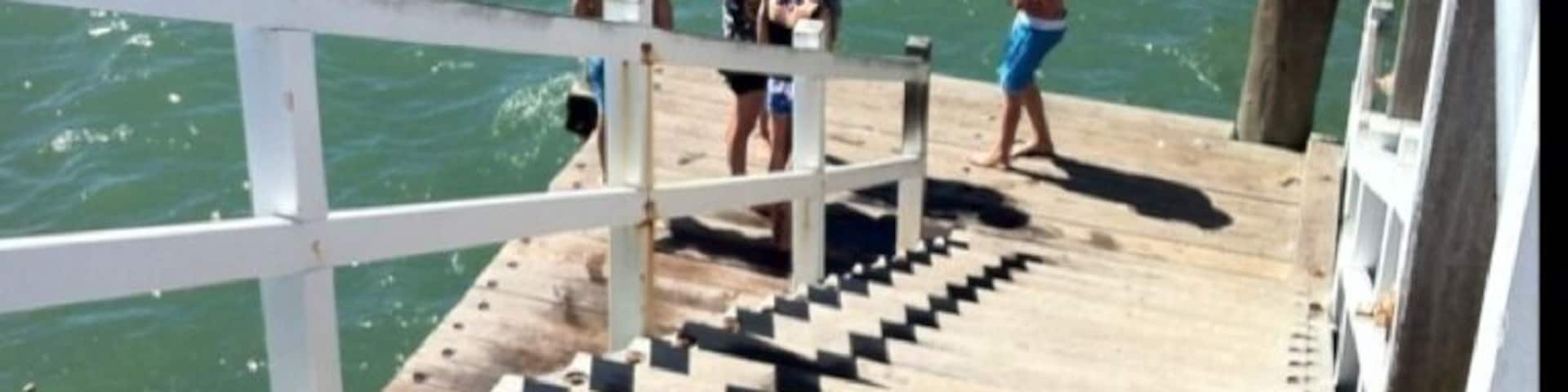 Great fun jumping from jetty