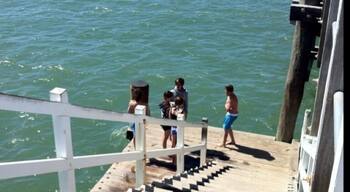 Great fun jumping from jetty