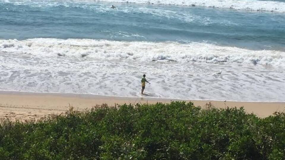 A beach with waves, a person walking, and dense greenery in the foreground.