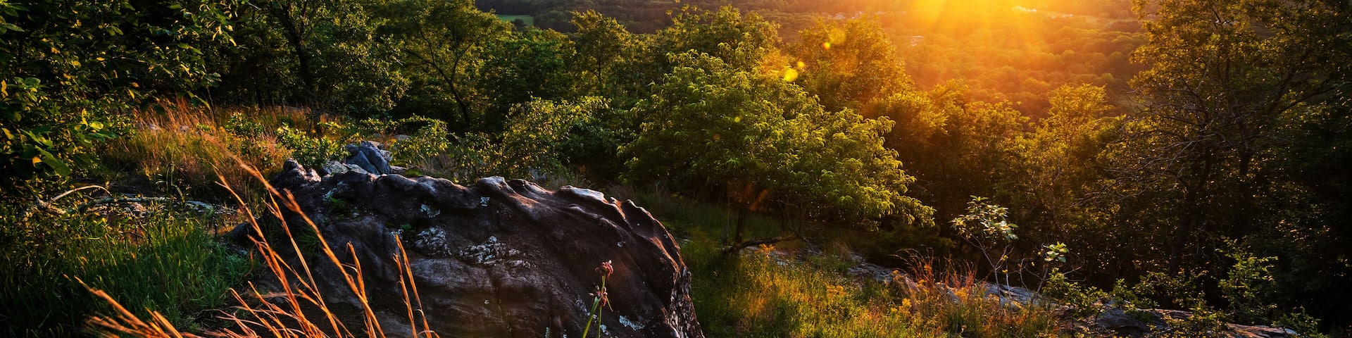 Sunset at Kennesaw Mountain National Battlefield Park near Atlanta, GA