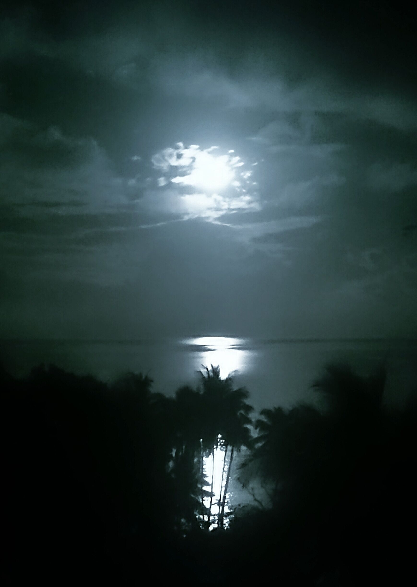 The moonrise facing east from the lower mango tree dorm at Safari. Beautiful view from up here on the deck. 