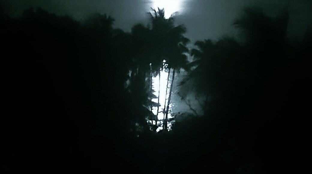 The moonrise facing east from the lower mango tree dorm at Safari. Beautiful view from up here on the deck.