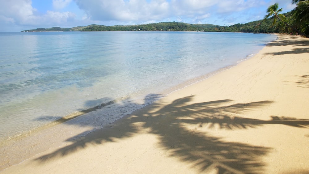 Sandy beach with palm tree shadows, Nananu-i-Ra island, Fiji