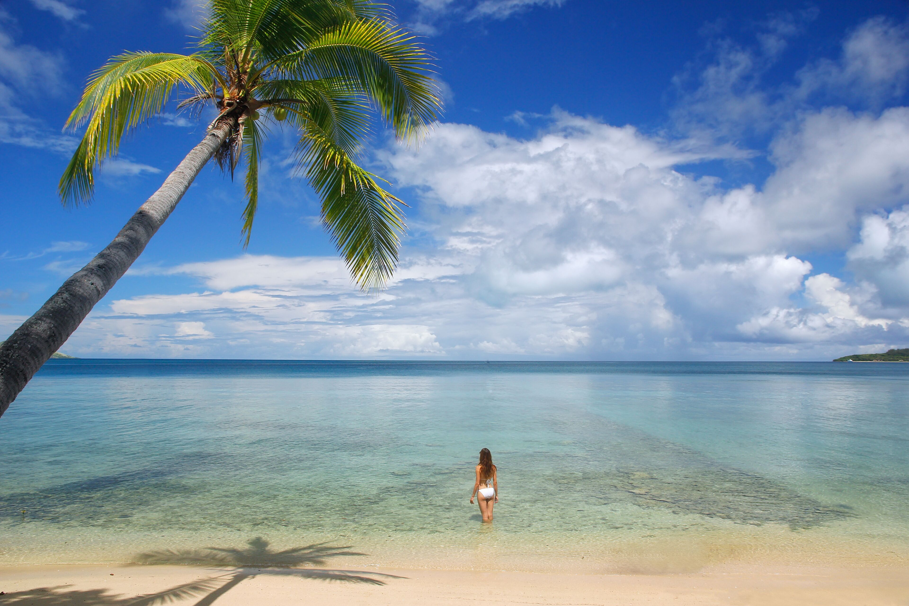 Young woman in bikini standing in clear water, Nananu-i-Ra island, Fiji