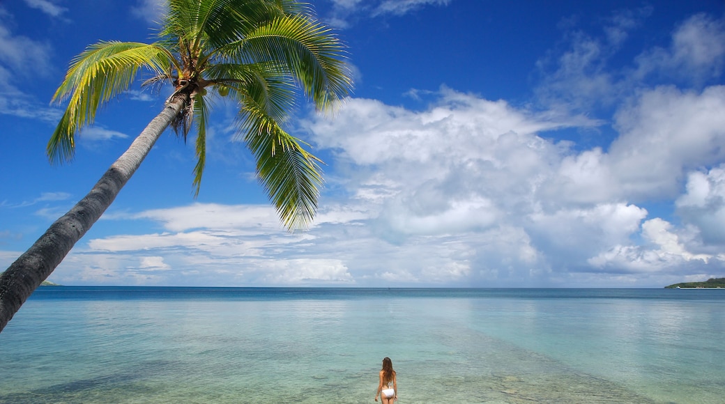 Young woman in bikini standing in clear water, Nananu-i-Ra island, Fiji