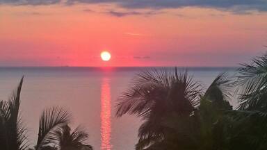A sunset over a calm sea with palm trees silhouetted against the sky.